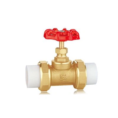 Reguleeritava temperatuuriga veeklapp